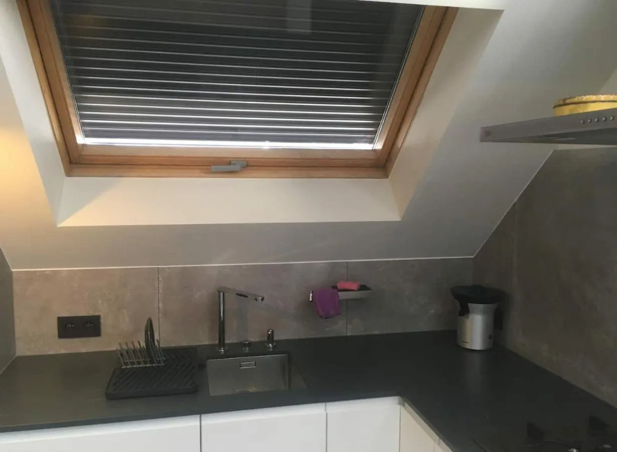 L'Atique By Agelandkaai Be With Free Parking Apartment Ghent