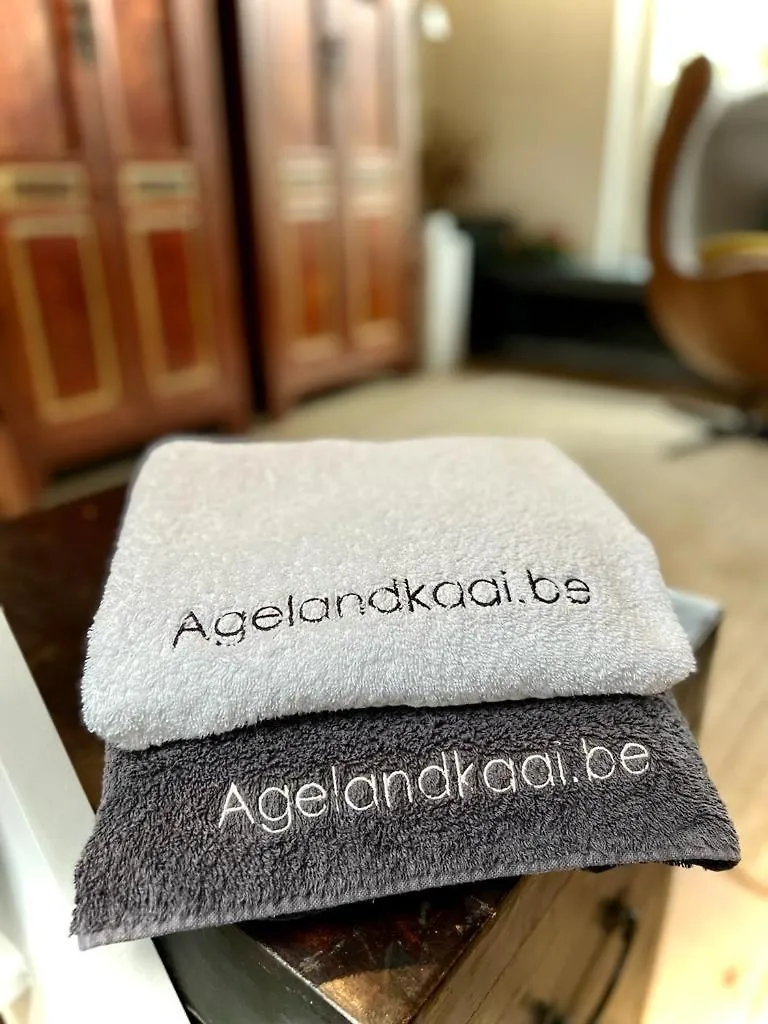 L'Atique By Agelandkaai Be With Free Parking Apartment Ghent Belgium
