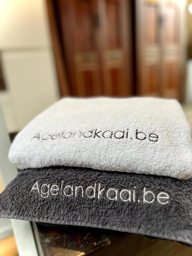 L'Atique By Agelandkaai Be With Free Parking Apartment Ghent