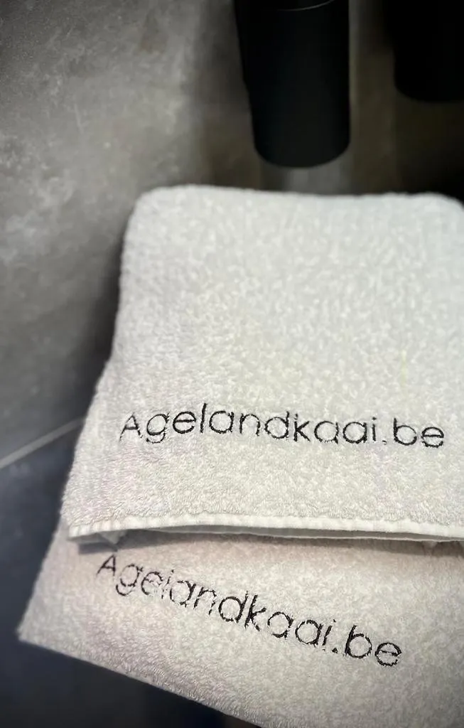 L'Atique By Agelandkaai Be With Free Parking Apartment Ghent Belgium
