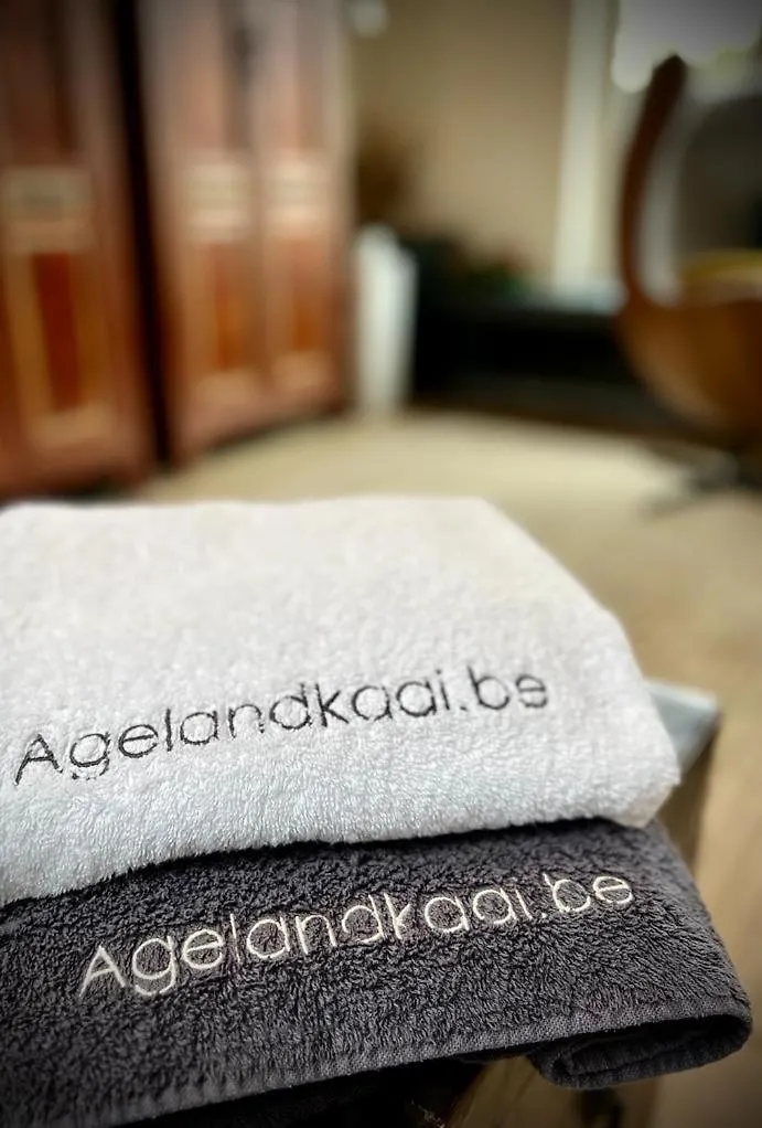 L'Atique By Agelandkaai Be With Free Parking Apartment Ghent