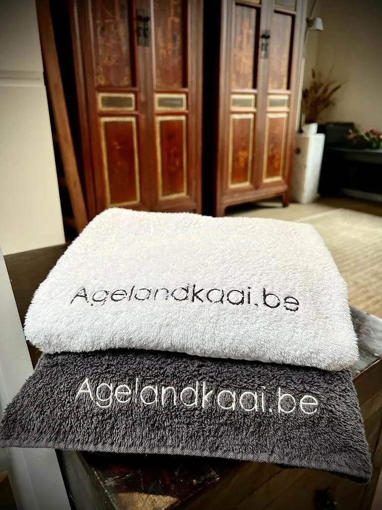 L'Atique By Agelandkaai Be With Free Parking Apartment Ghent Belgium