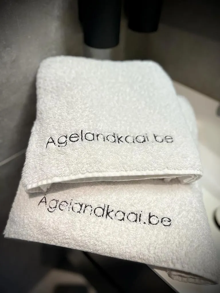 L'Atique By Agelandkaai Be With Free Parking Apartment Ghent
