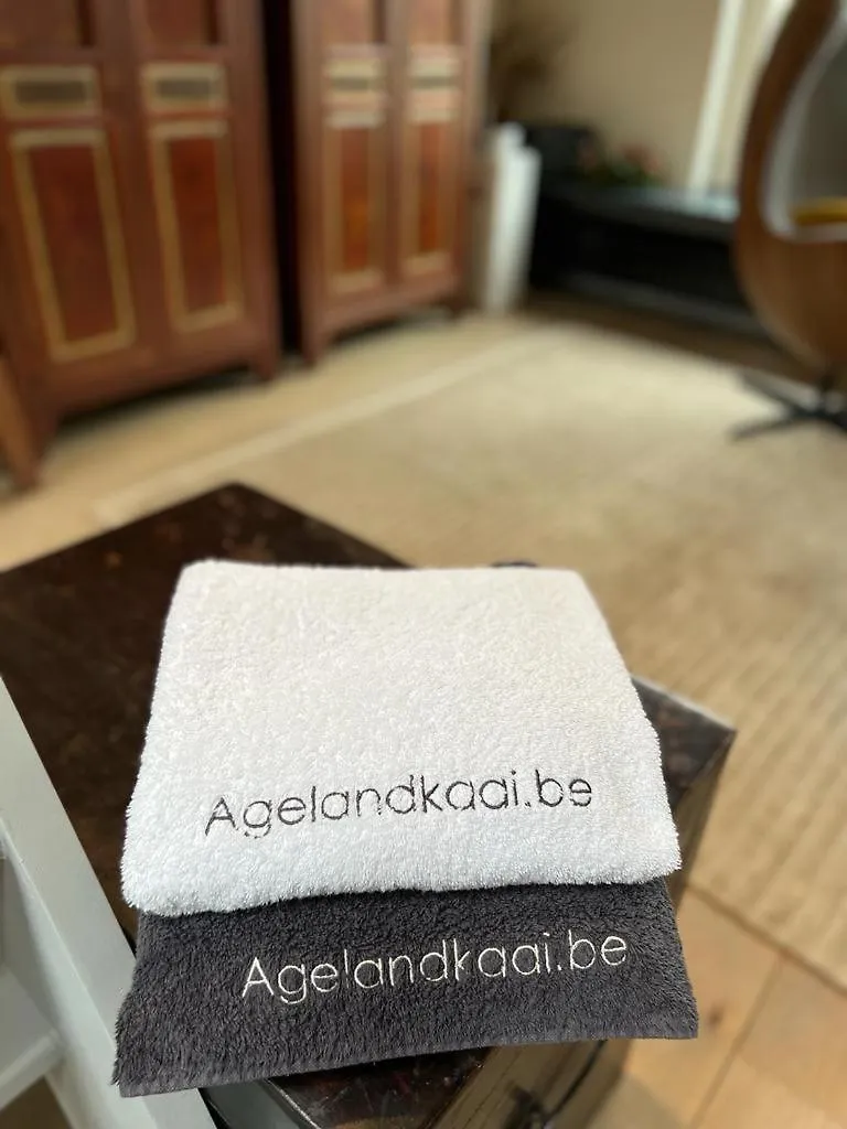 L'Atique By Agelandkaai Be With Free Parking Apartment Ghent 0*,