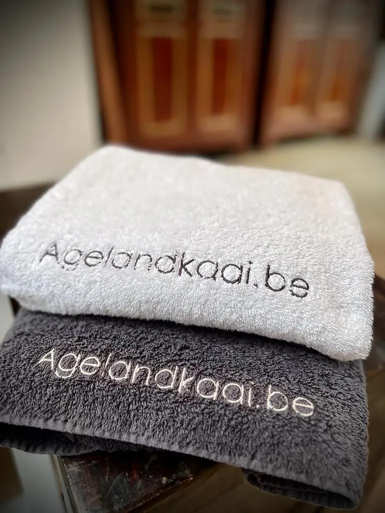 L'Atique By Agelandkaai Be With Free Parking Apartment Ghent Belgium