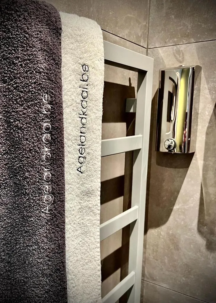 L'Atique By Agelandkaai Be With Free Parking Apartment Ghent